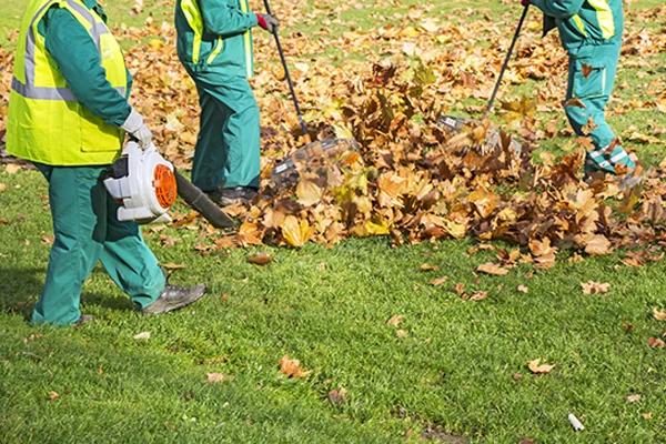 Cleanup Services