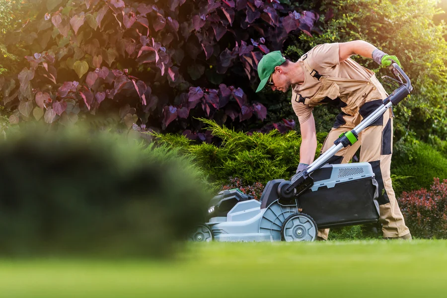 Professional Lawn Service