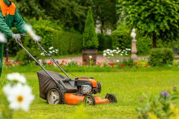Yard Services